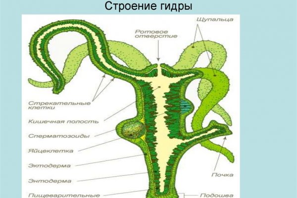 Зеркало кракен