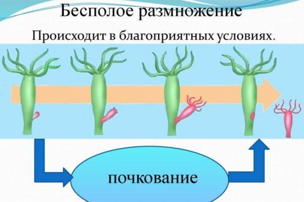 Как зайти на маркетплейс кракен