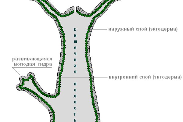 Кракен площадка